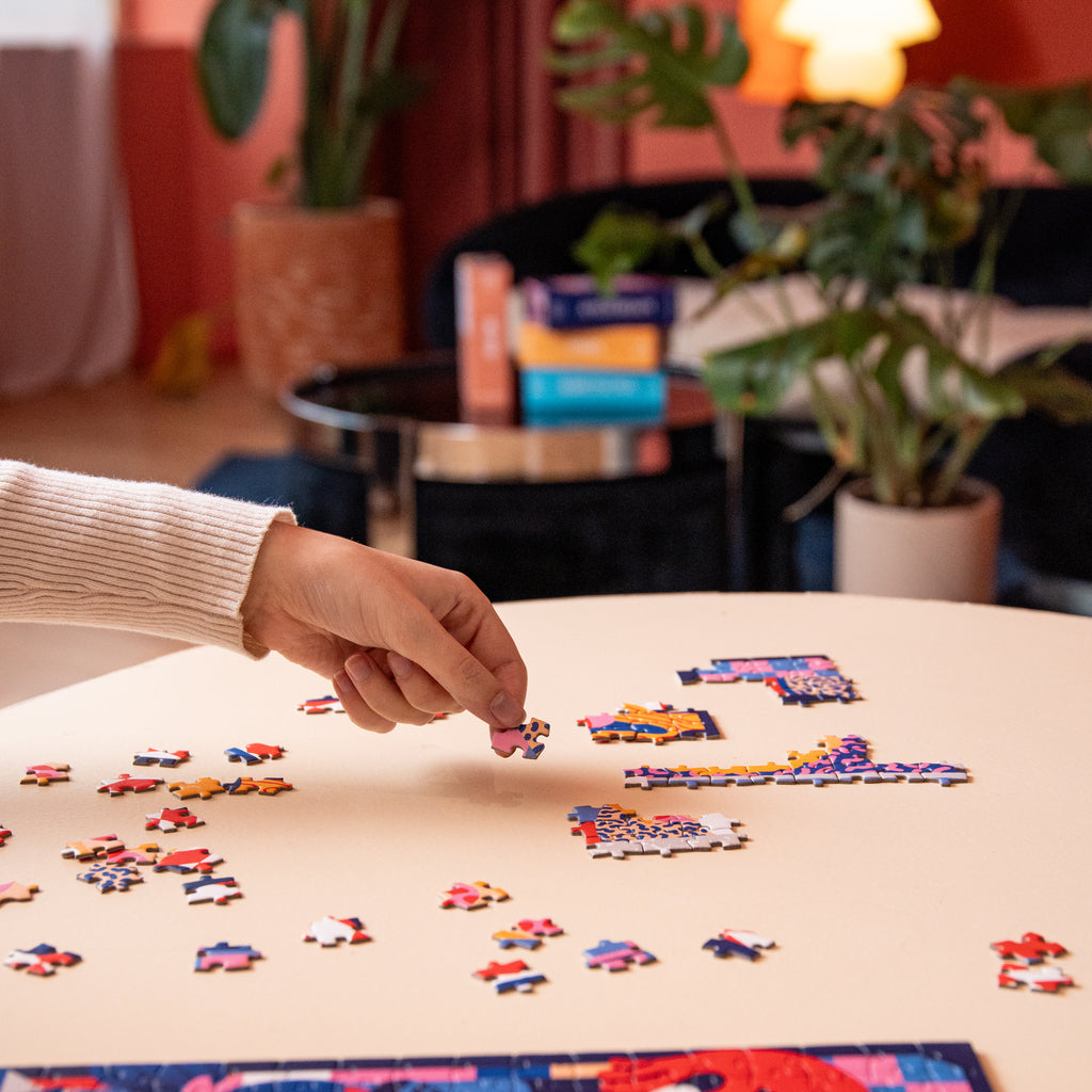 Amsterdam Puzzle
