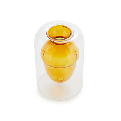 Acorn Vase Seedling Kit