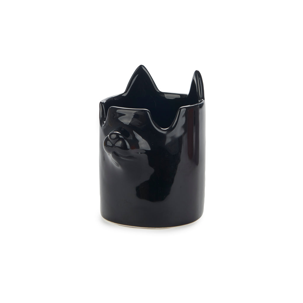 Nosy Buddy Cat Pencil Holder and Glasses Holder