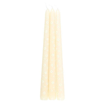 Set of 3 tapered candles Carrot Patch White Daisy