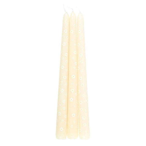 Ensemble de 3 bougies motif Marguerites “Carrot Patch”