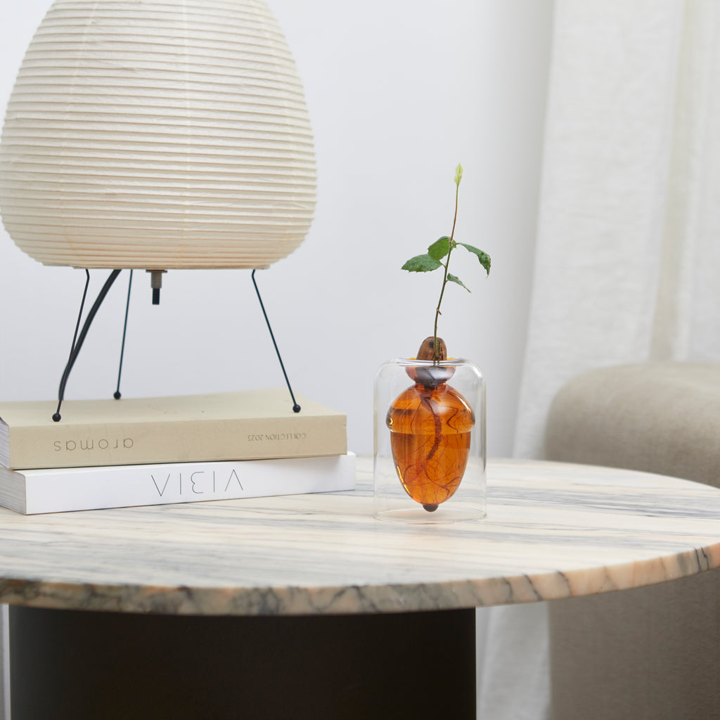 Acorn Vase Seedling Kit