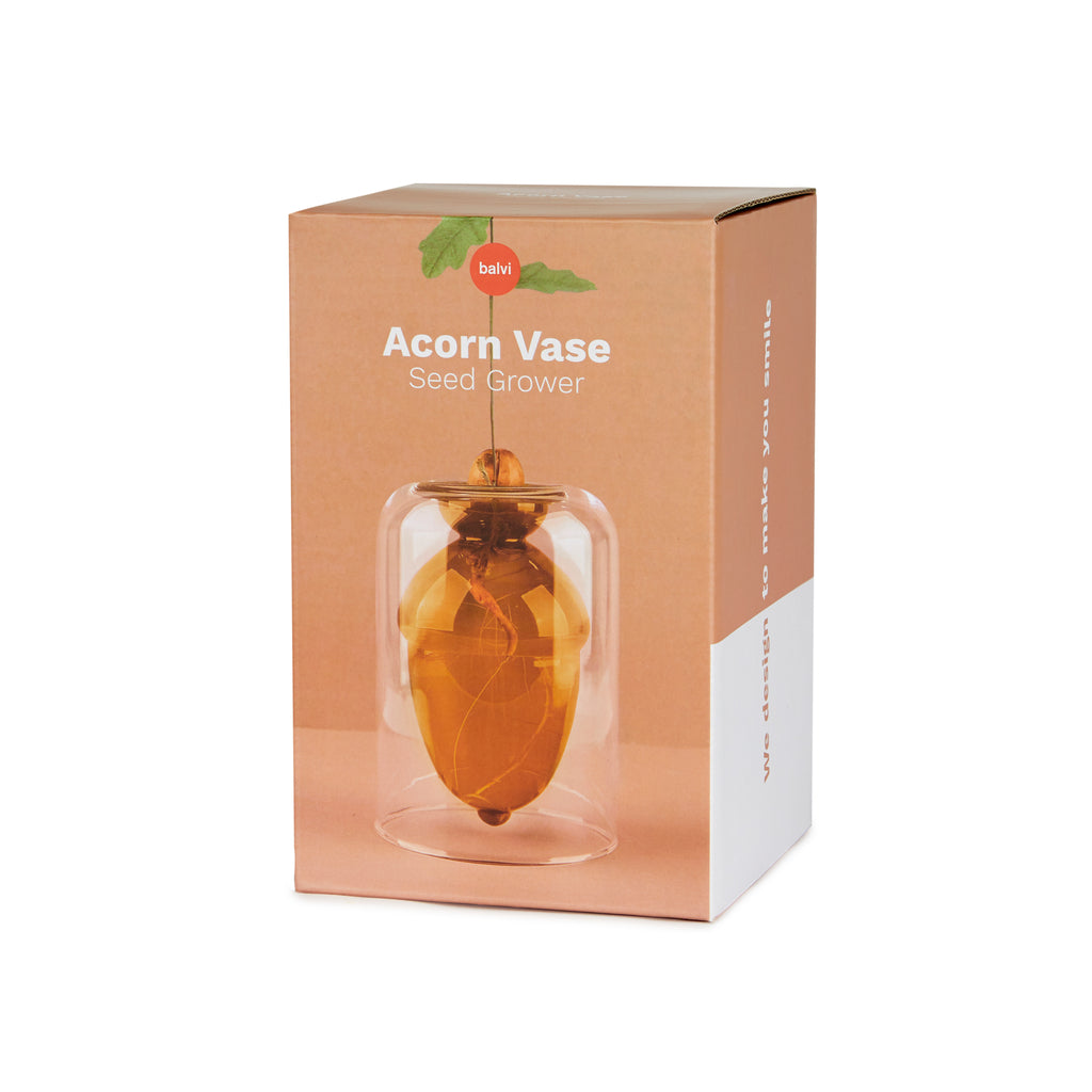 Acorn Vase Seedling Kit
