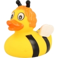 Bee duck