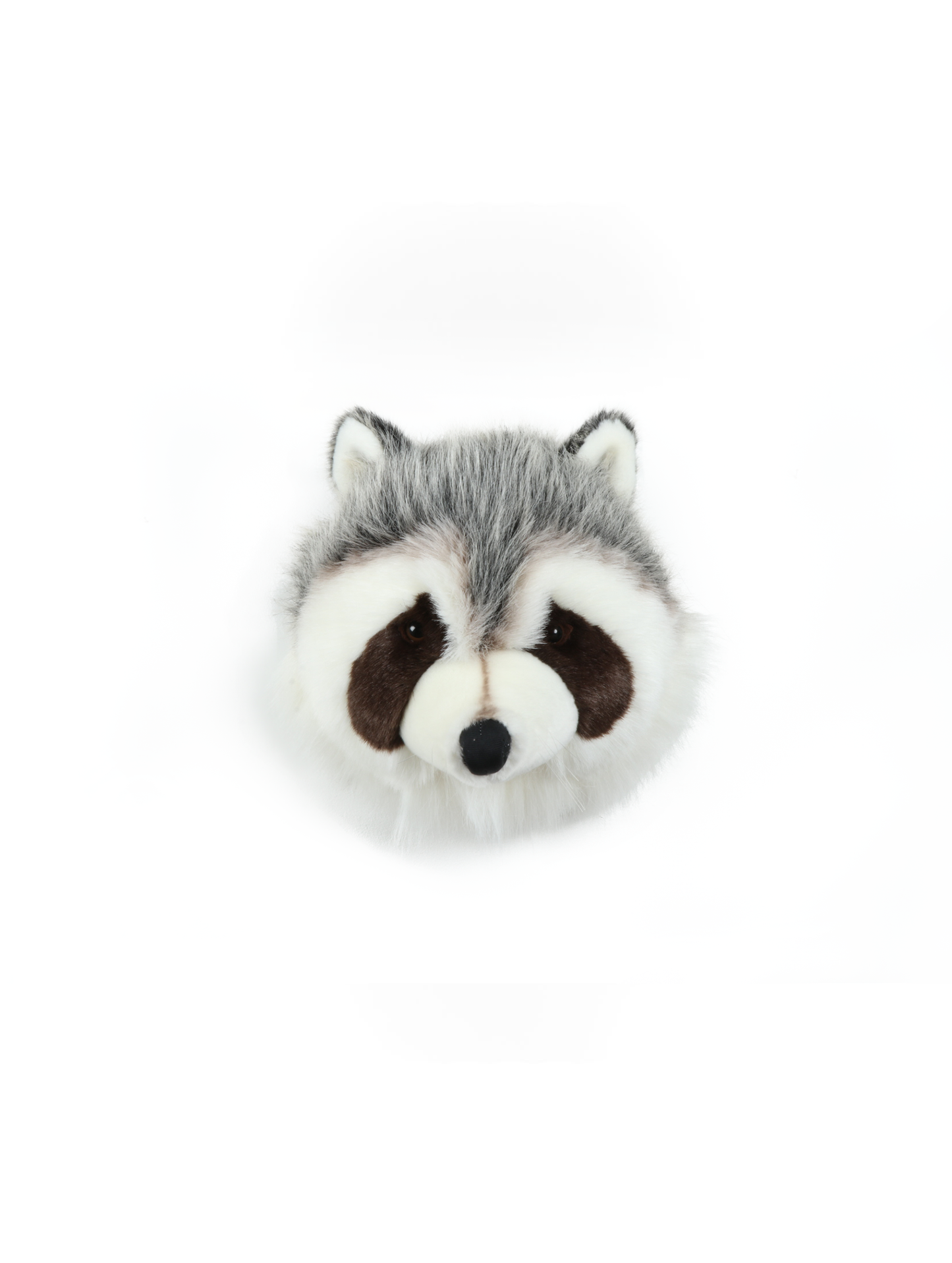 Josh the Raccoon Plush Wall Decoration