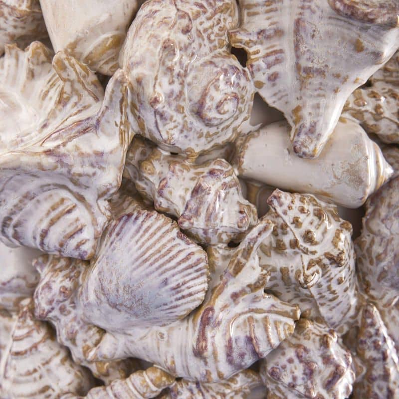 Vase Coquillages, Grès Naturel L