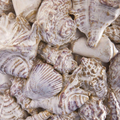 Vase Coquillages, Grès Naturel L