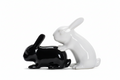 Salière et Poivrière Lapins Coquins – MAGS