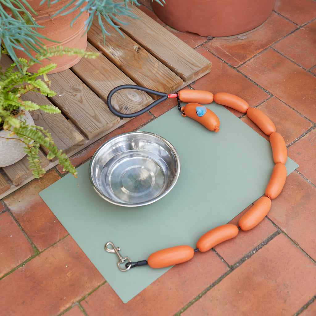 Laisse pour chien Hot Dog