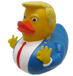 Duck President