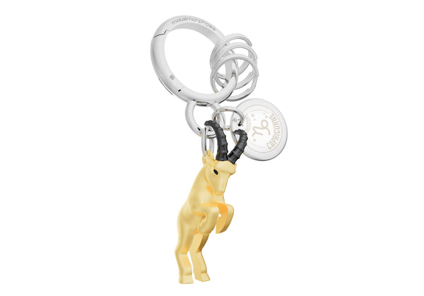 Zodiac Sign Keychain