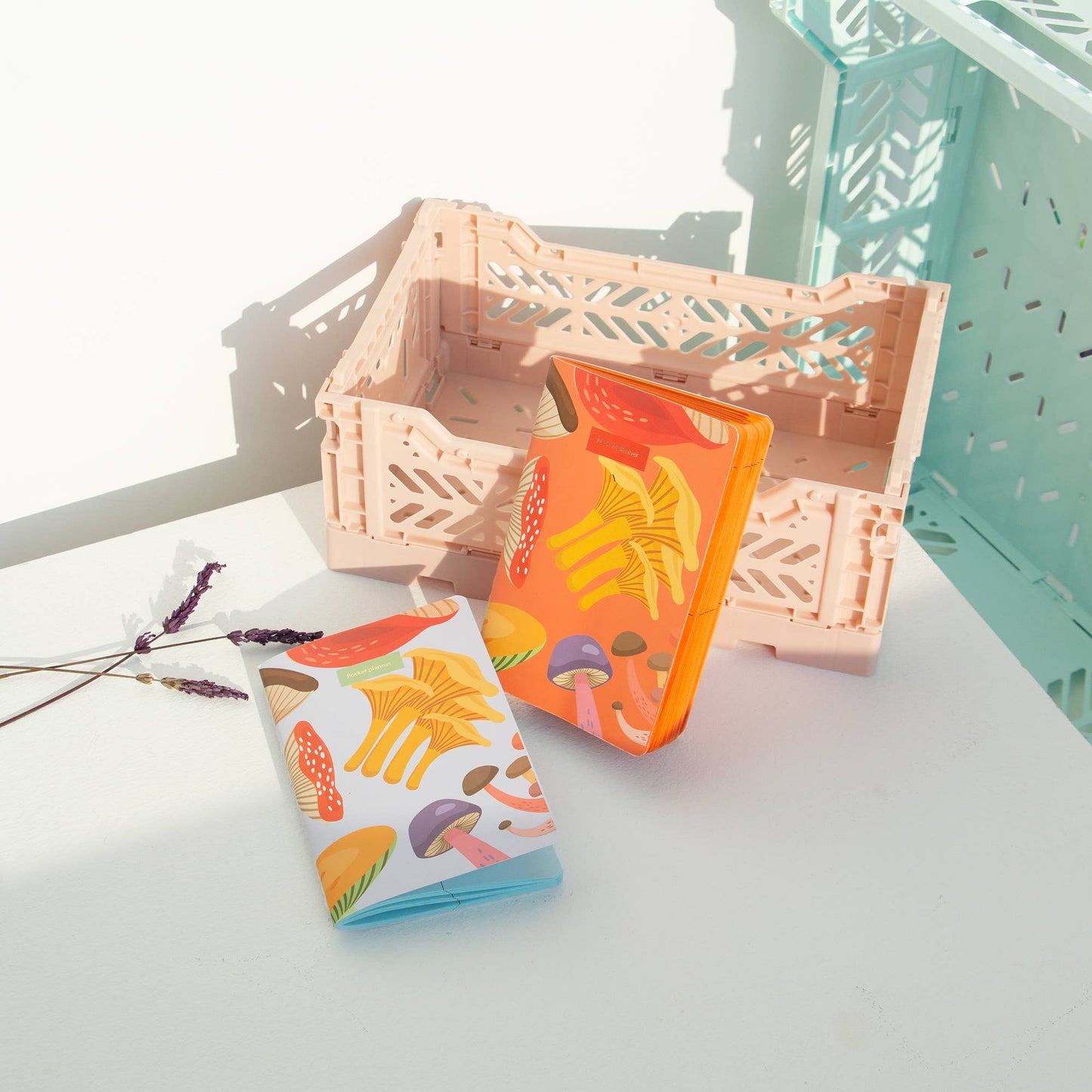 Champignons Bleu Clair A6 Planner Helio Ferretti Vue 1