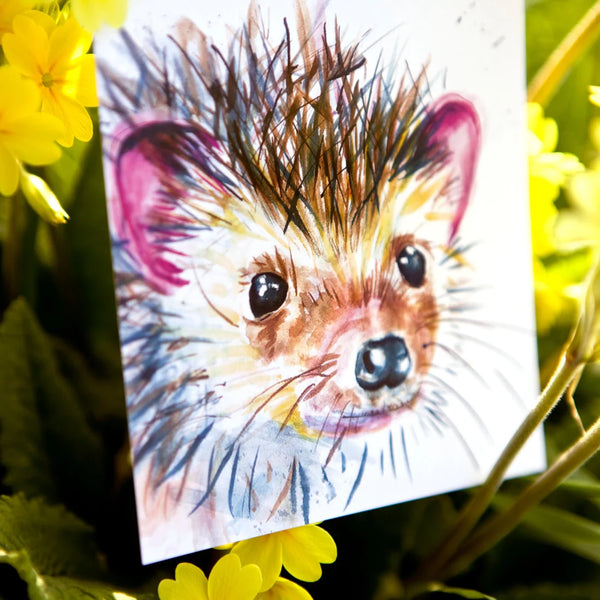 Ansichtkaart met aquarel van een egel