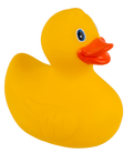 Canard jaune