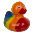 Ente Arc-en-ciel