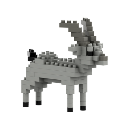 BRIXIES Ibex