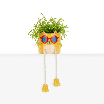 Mini pot de fleurs Cool Cat