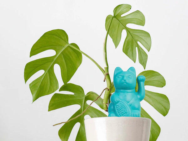 Arroseur Autonome Chat Chanceux Bleu Bitten – Objet déco original
