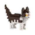 BRIXIES House Cat