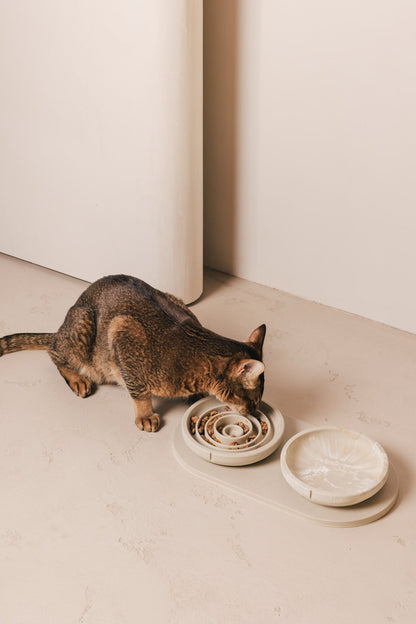 Anti-Schling-Napf für Katzen – Produktansicht 2