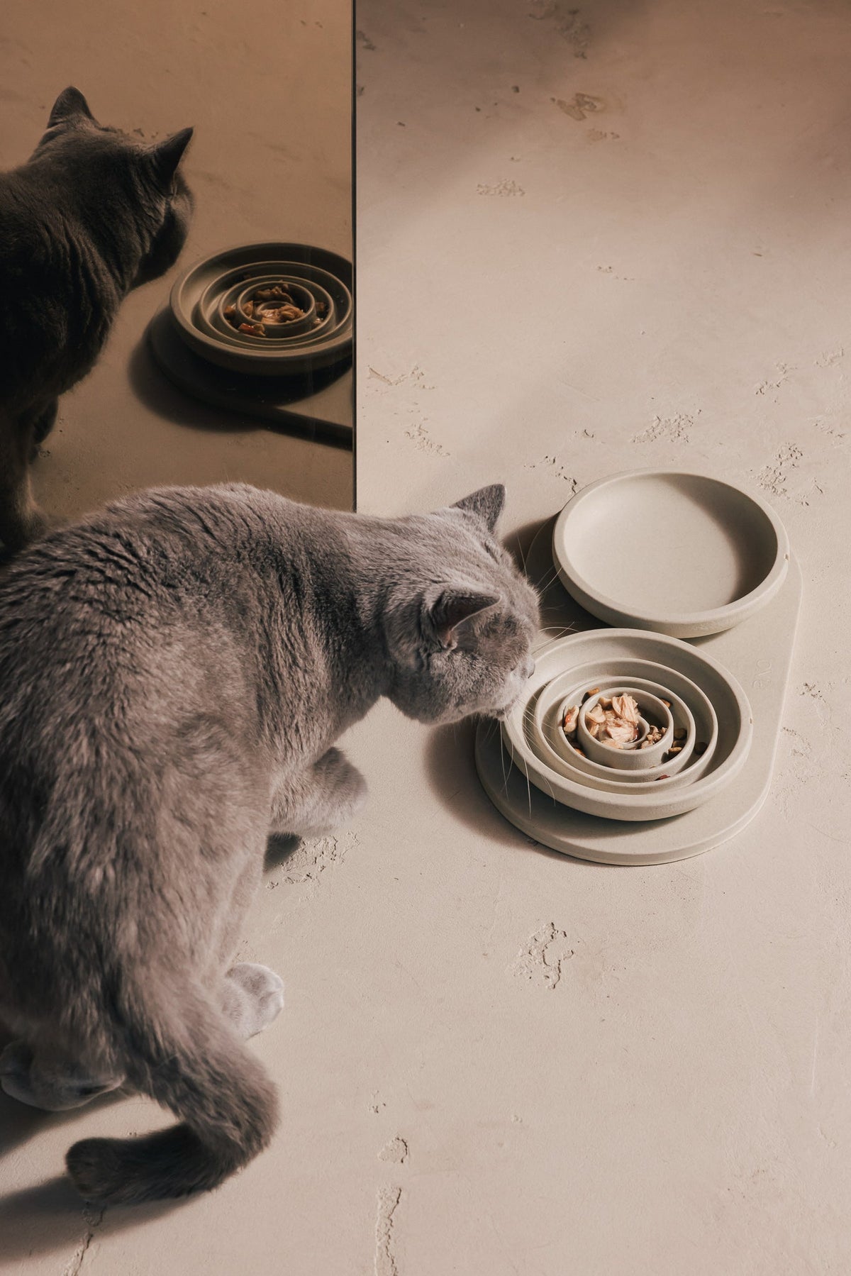 Anti-Schling-Napf für Katzen – Produktansicht 9