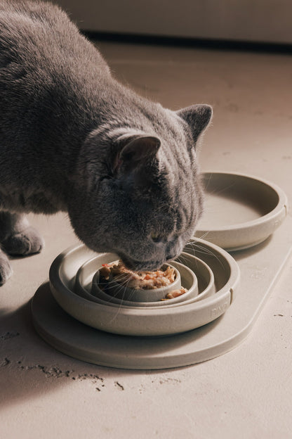 Anti-Schling-Napf für Katzen – Produktansicht 7