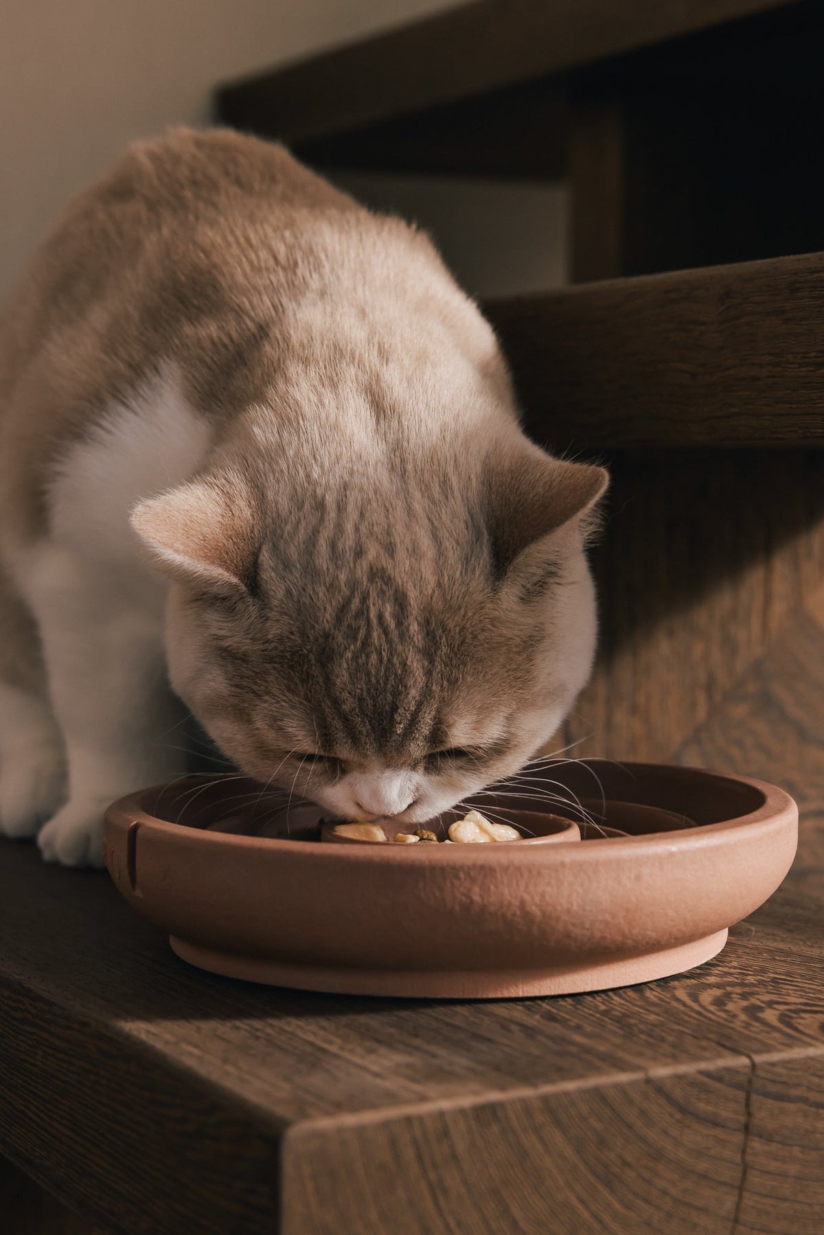 Anti-Schling-Napf für Katzen – Produktansicht 6