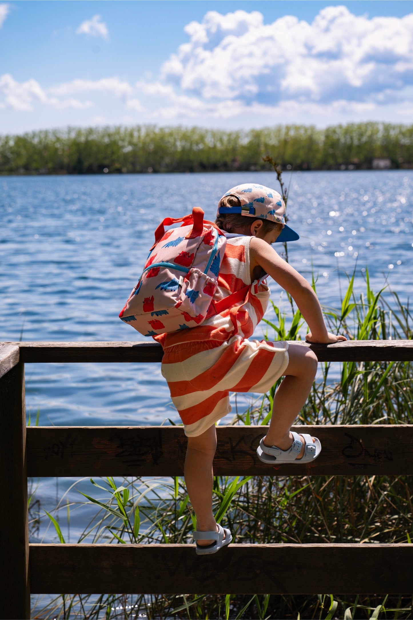 Kindergarten Starter Set MEOWTIFUL CATS