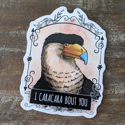Sticker “I Caracara Bout You”