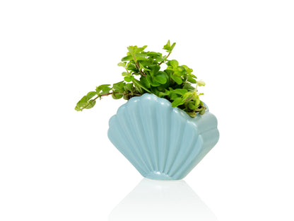 Pot de Fleur Coquillage Bleu – Petit