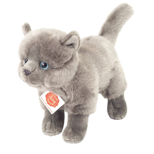 Peluche Chat chartreux debout