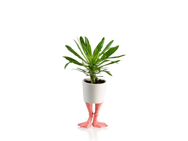 Pot de Fleur Pattes de Flamant Rose – Petit – Bitten