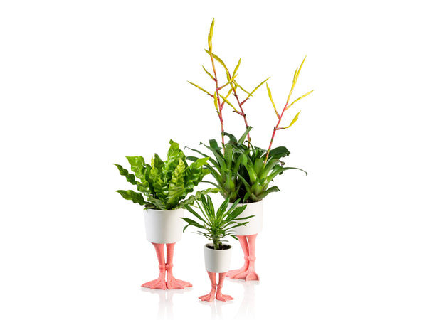 Pot de Fleur Pattes de Flamant Rose – Petit – Bitten