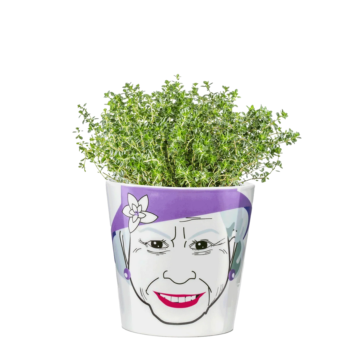 Queen flower pot