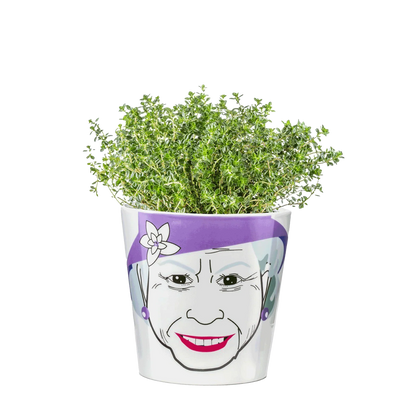 Queen flower pot