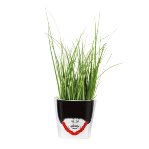 Pot de Fleur Garde Royal