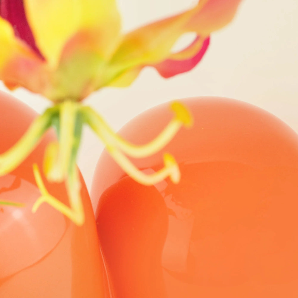 Vase Sulcus