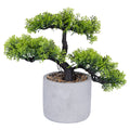 BONSAI PLANT H. 23 A - 2188536