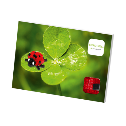 BRIXIES Postcard Ladybug