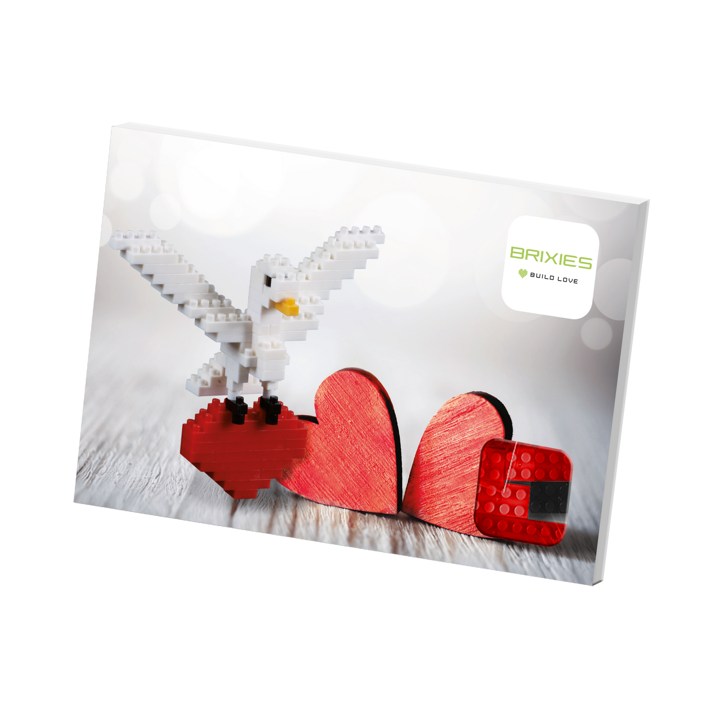 BRIXIES Postcard Turtle Dove