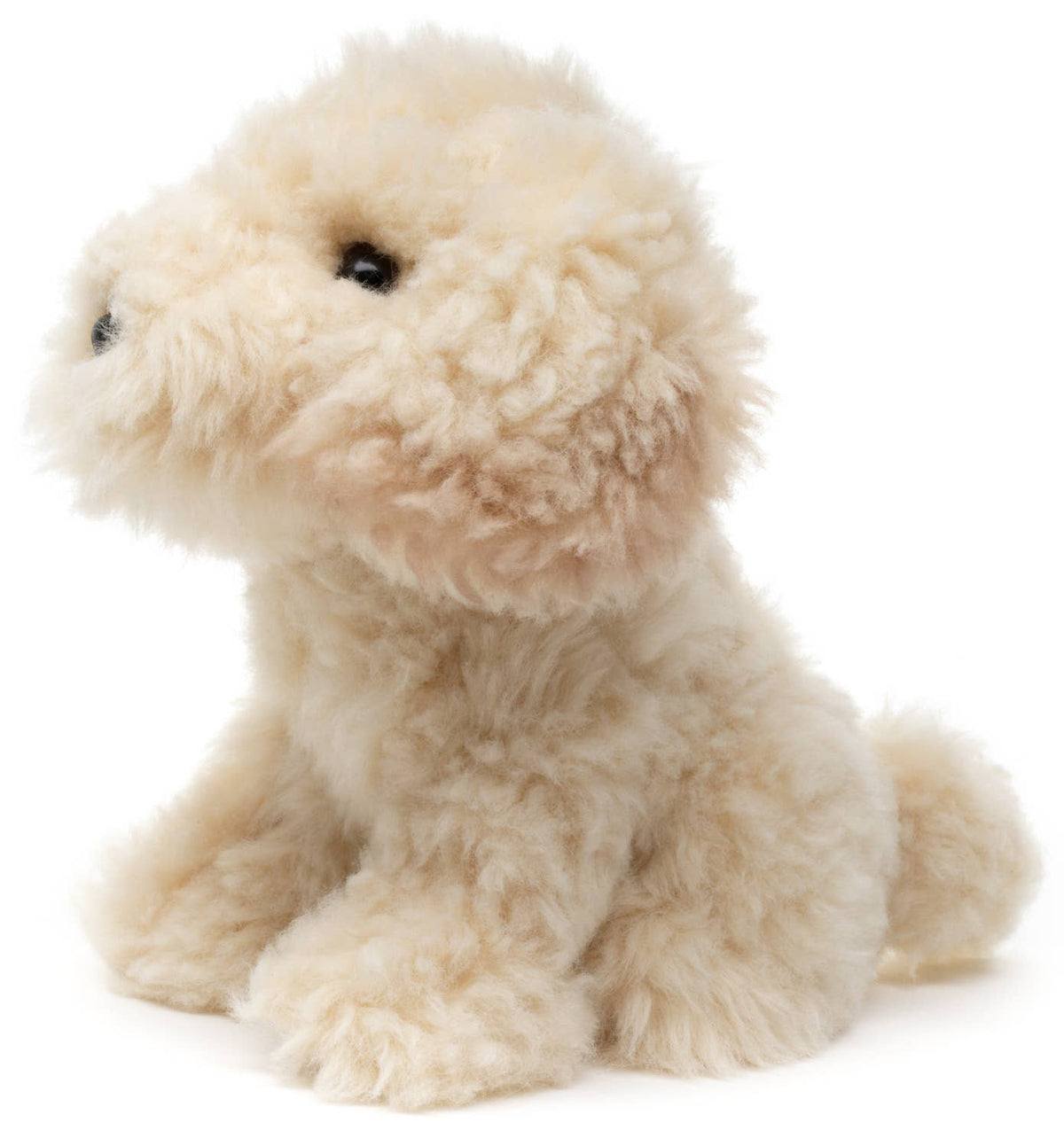 Peluche Cockapoo Assis