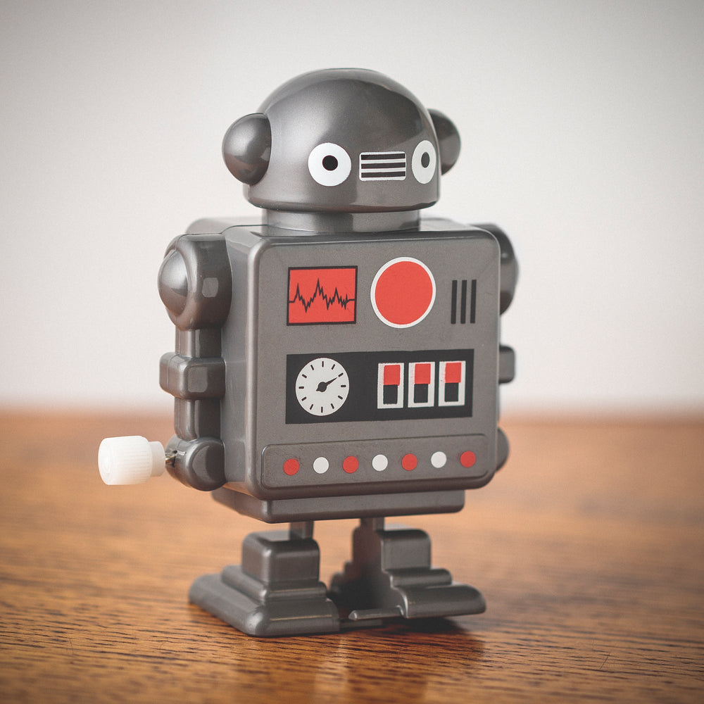 Robot à Remontoir – Modèle Assorti