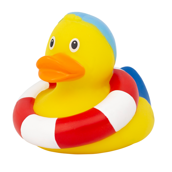 Zwemmende Eend