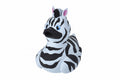 Zebra-eend
