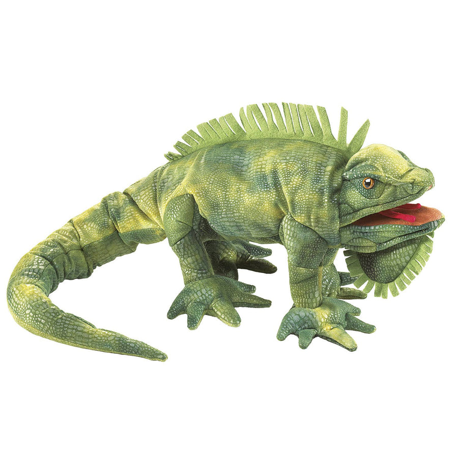 Grüner Leguan