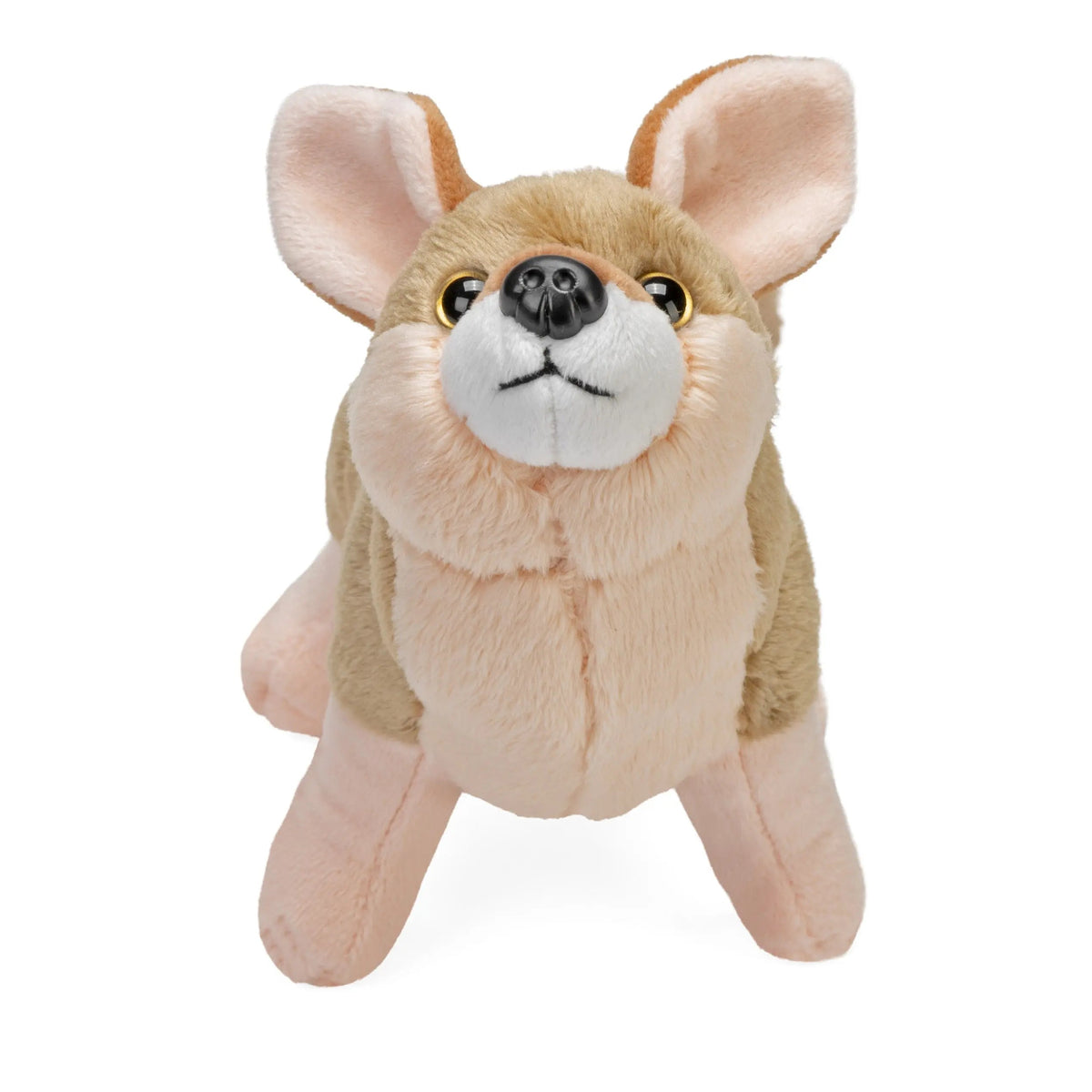 Peluche Coyote - 20 cm