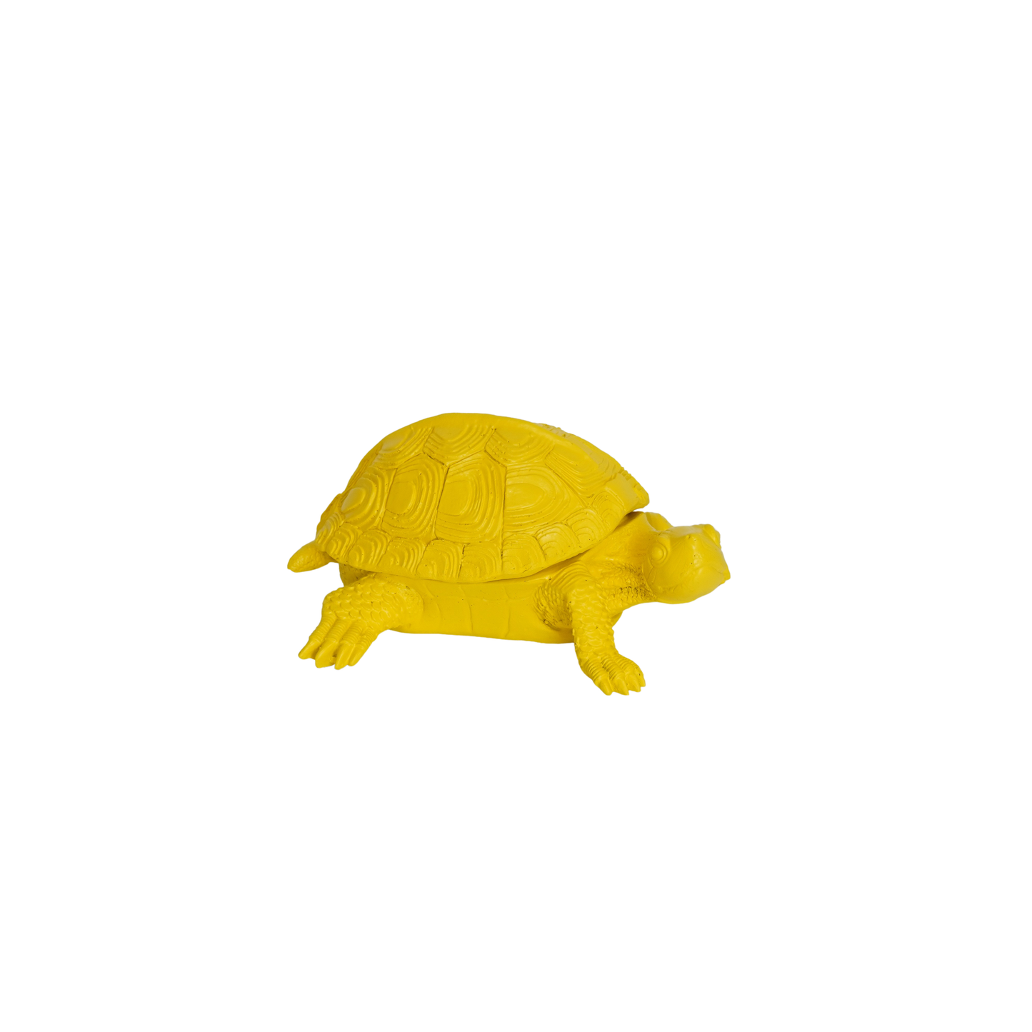 Boîte Tortue - Jaune