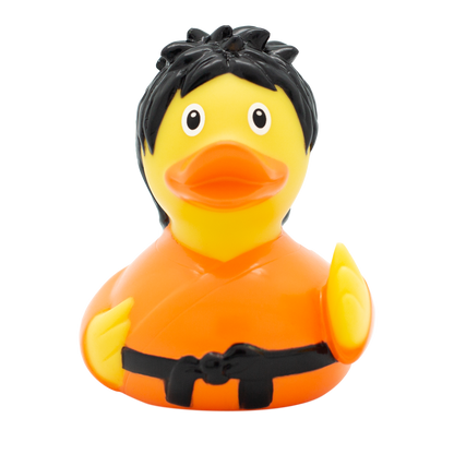 Canard Kung Fu