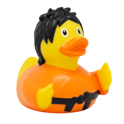 Canard Kung Fu