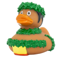 Ente Hawaiianer